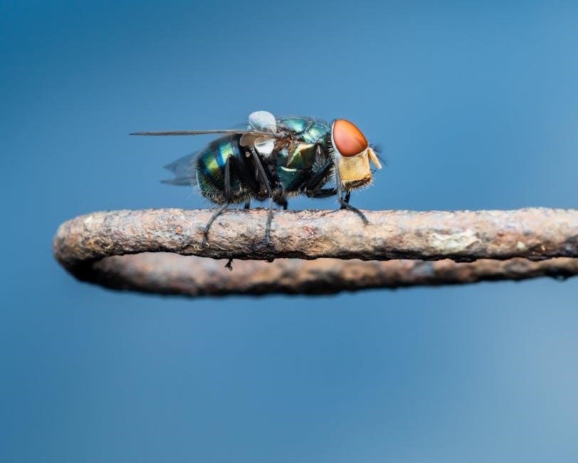 wildlife biology core curriculum courses online free pdf