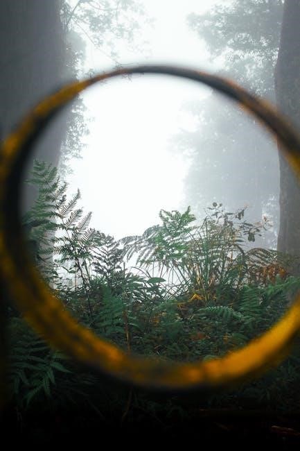 silent knight 5207 manual