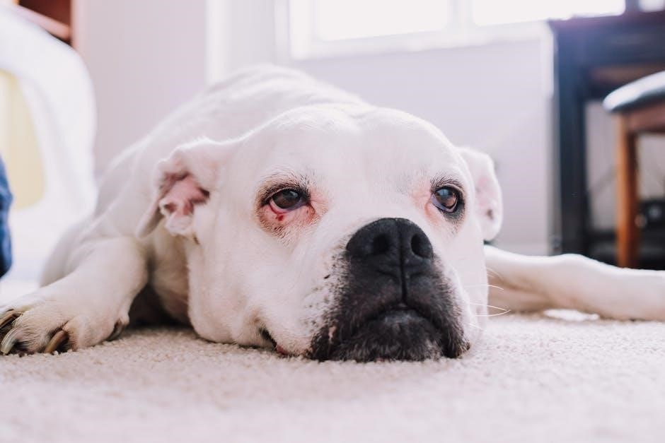 metronidazole for dogs dosage chart pdf
